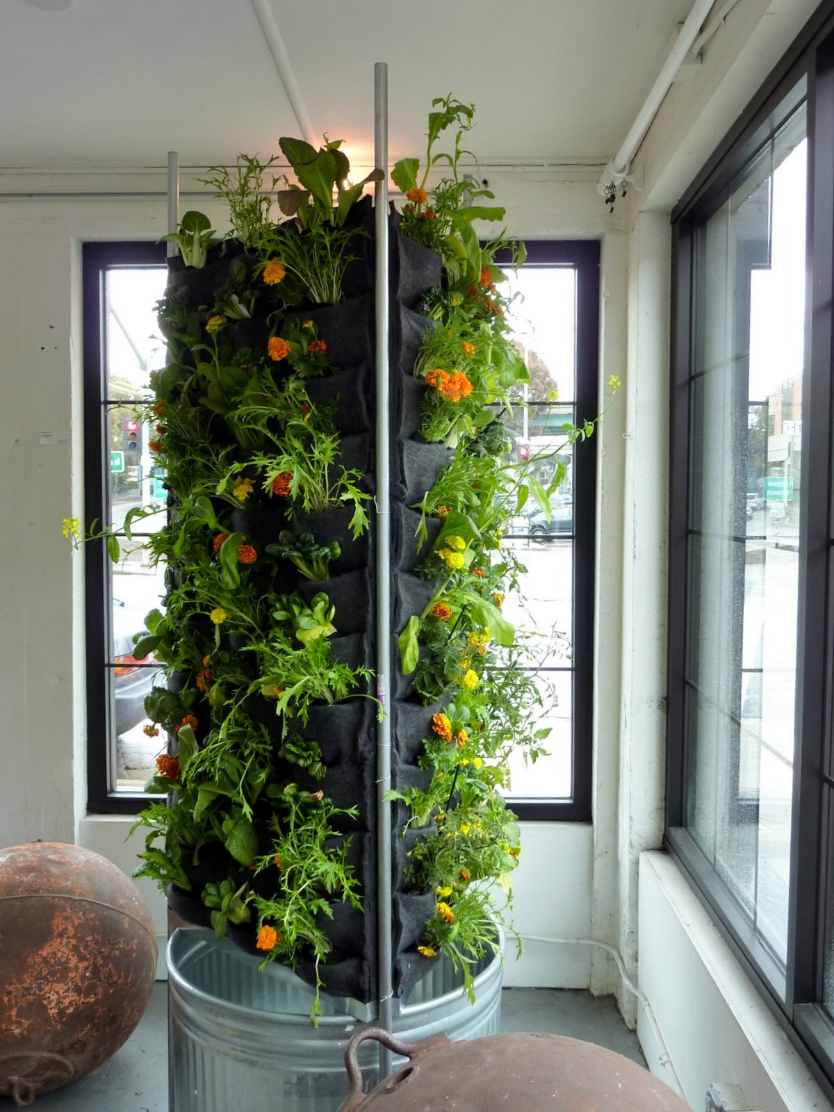Aquaponic Vertical Vegetable Garden | Plants On Walls