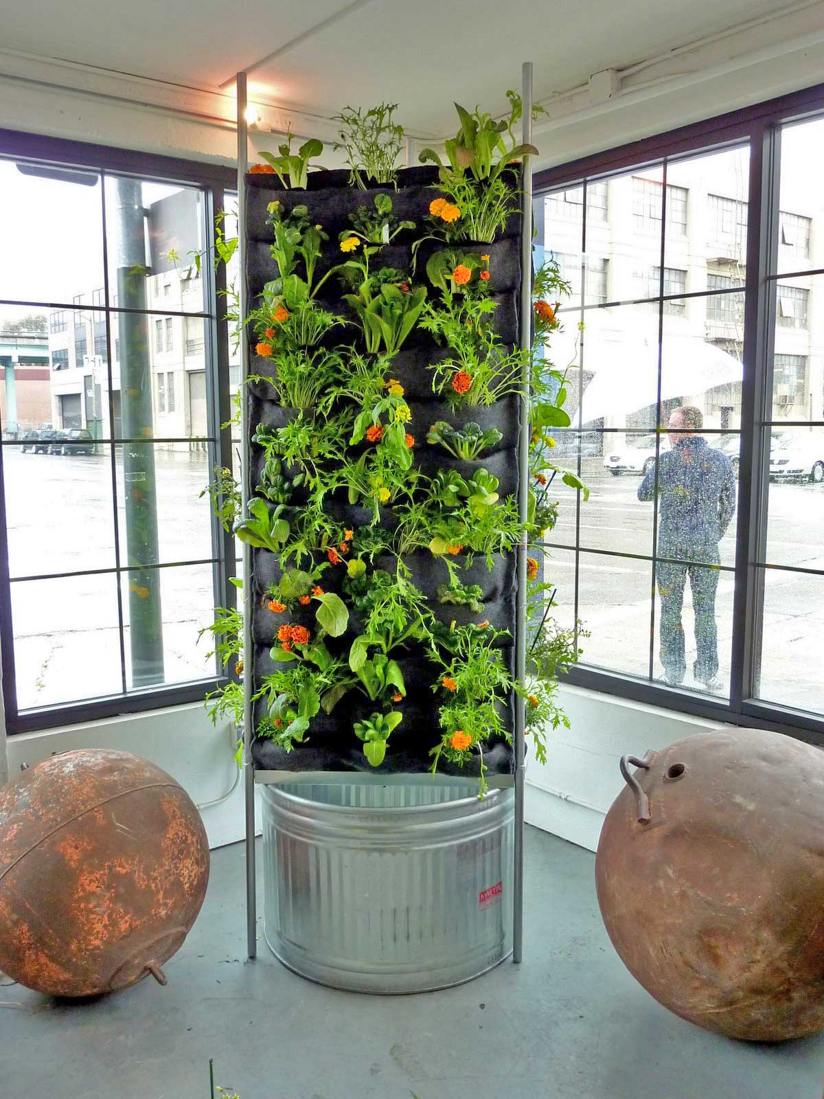 Aquaponic Vertical Vegetable Garden – Plants On Walls
